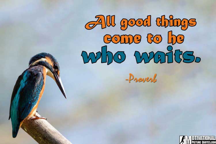 30+ Famous Patience Quotes Images | insbright