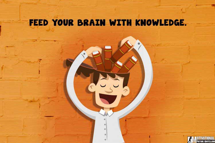 Study Wallpaper HD -Keep Calm And Study Hard | Insbright