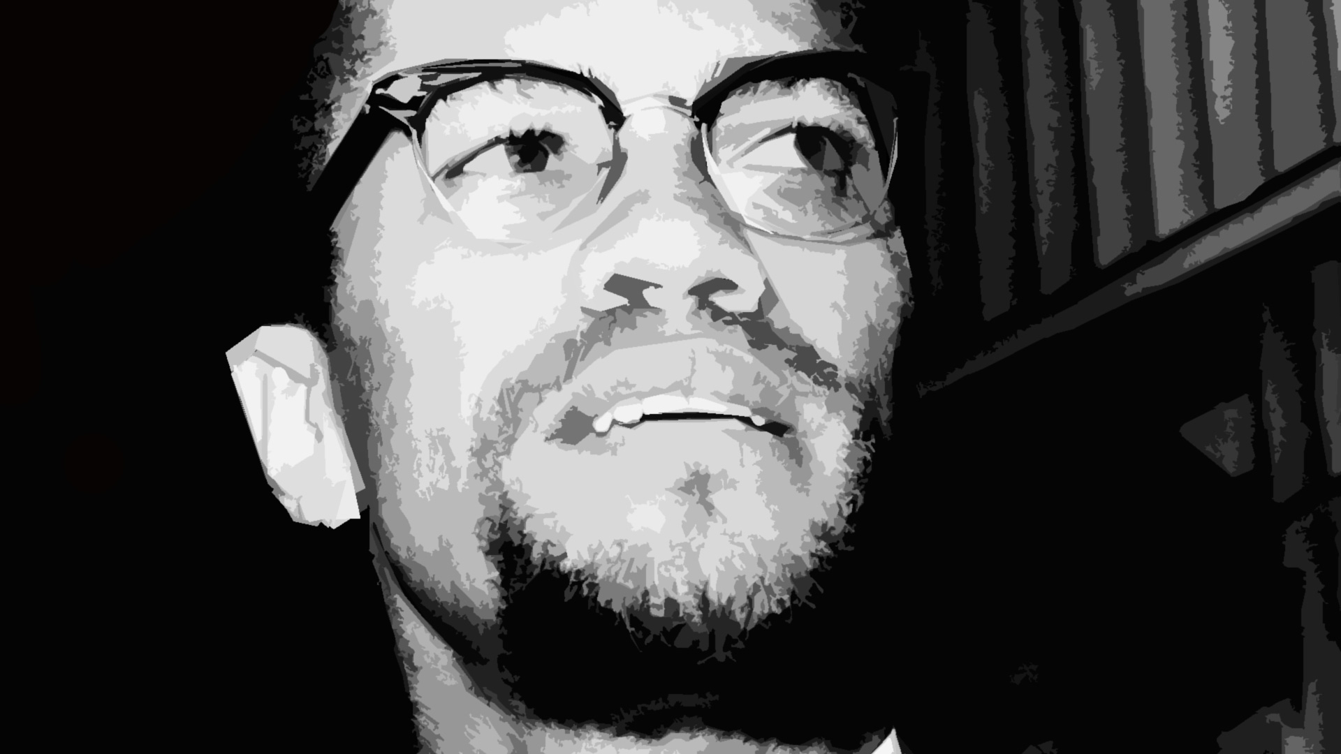 38+ Famous Malcolm X Quotes With Images  Short Malcolm X 